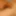 New cock images 1 #2