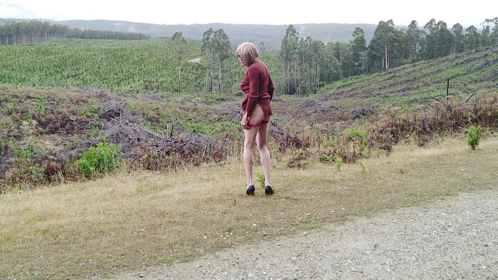 Crossdress Roadtrip - Roadside Forest Clearing #4