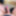 Schwanz zum blasen #16