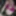 Aurora rose Free Photos