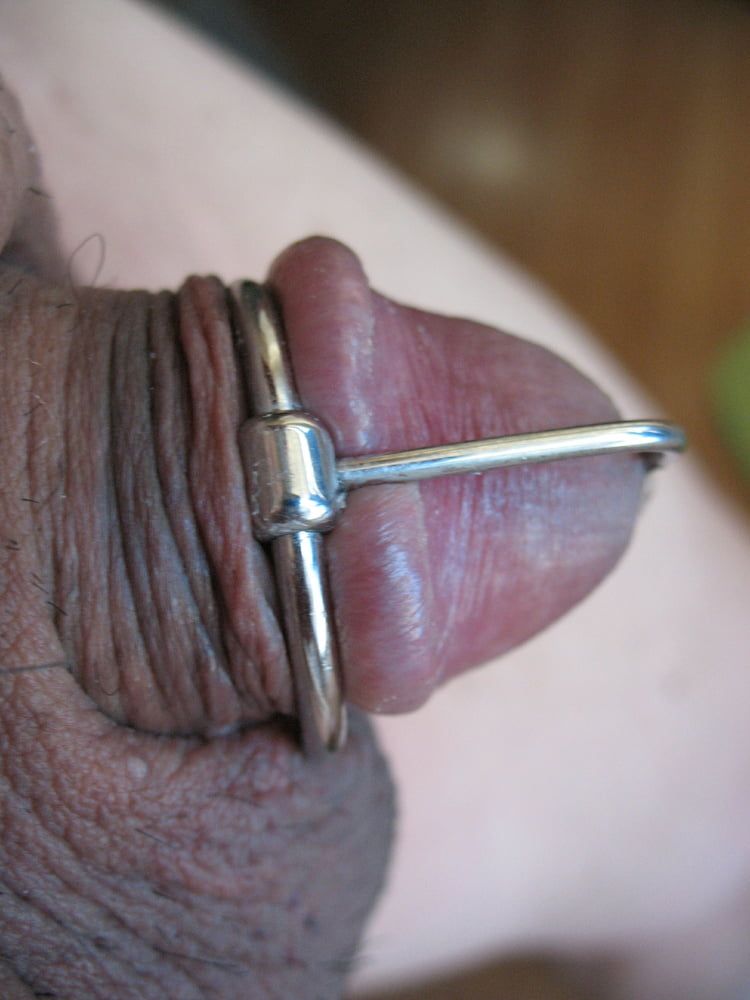 More steel in my cock with glans ring #57