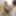 ONLY TARTS - Shock Content new scene PART 1 #2