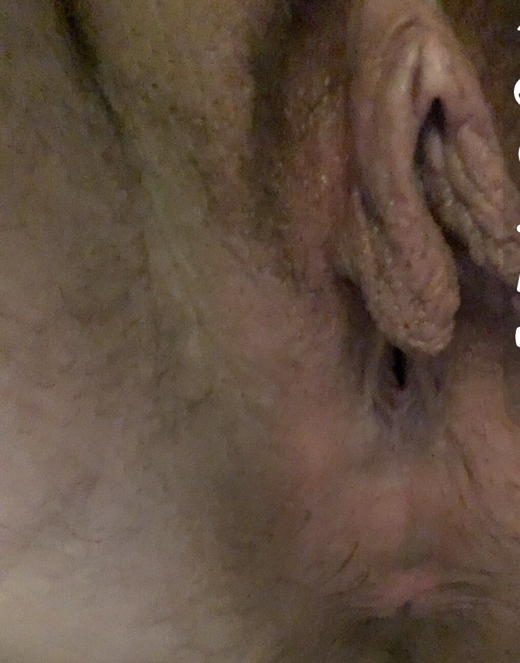 My pussy and ass #3