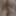 Fuck