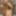 Julia 👸 Free Photos