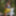 The sissy bitch Snow White, exposed in the enchantred forest #12