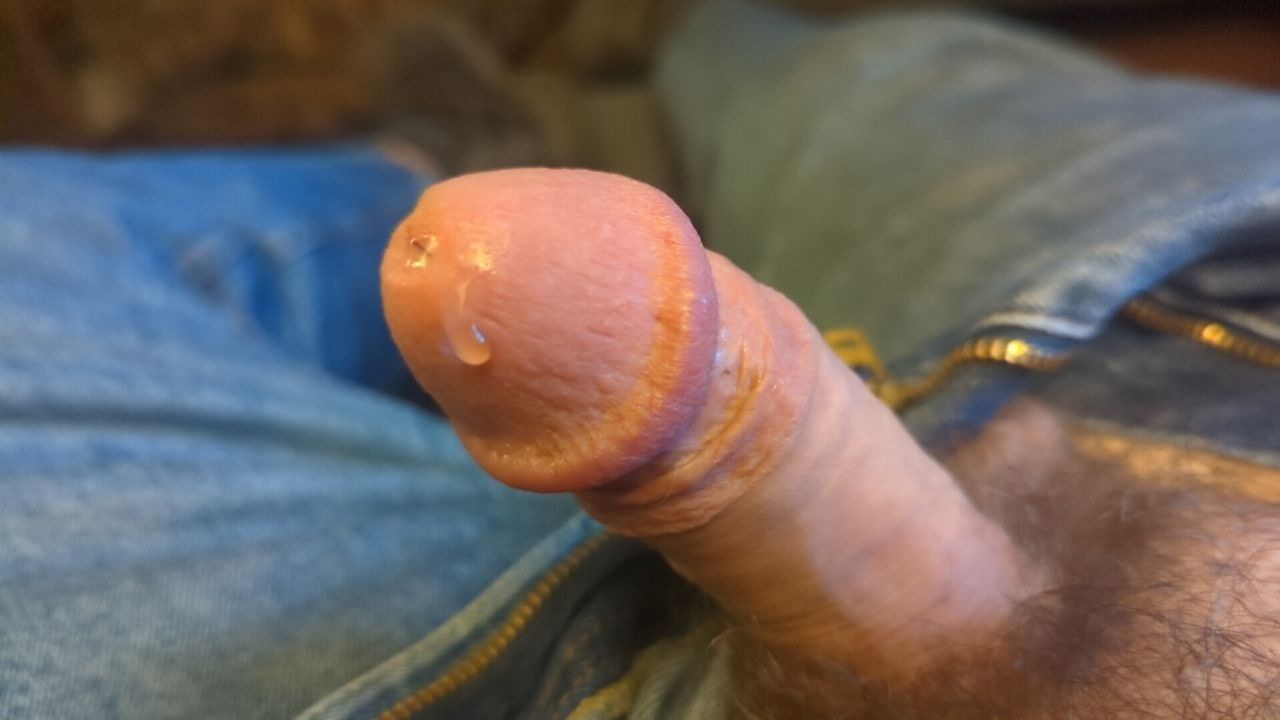 Cock afternoon 