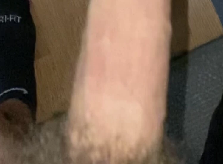 medium wiener 