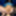 Blue top and sexy pantihose riding my big dildo #52