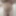 Mandatory weighing cagecheck December 17, 2023