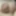 Inverted tiny penis #4