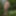 Wanking in the woods #14