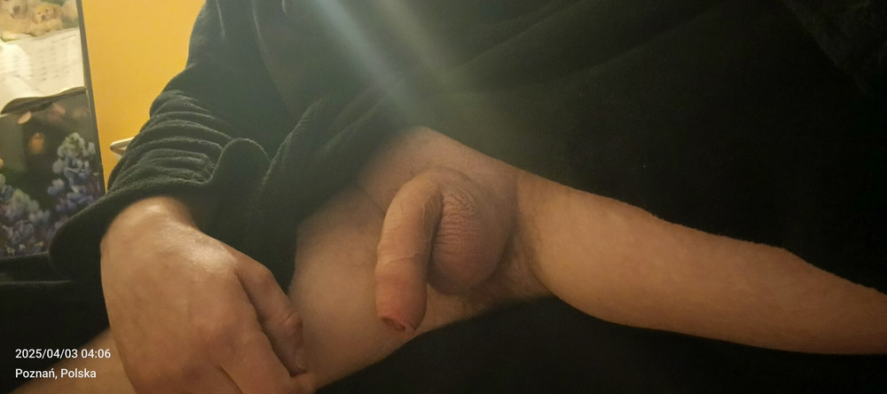 Penis #18