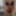 Bikini skinny trans girl