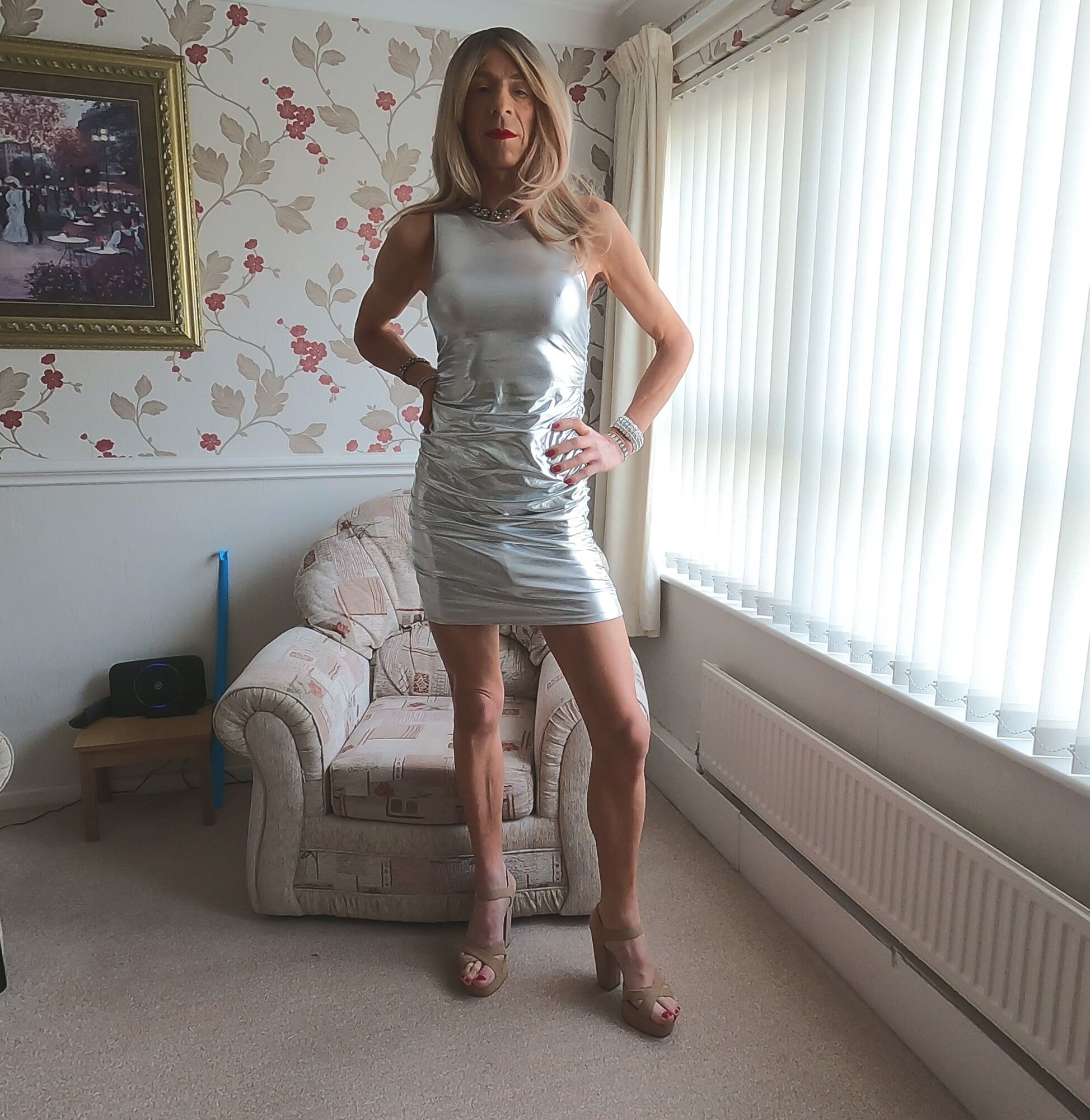 132 Alessia Travestita - Silver Party Dress #6