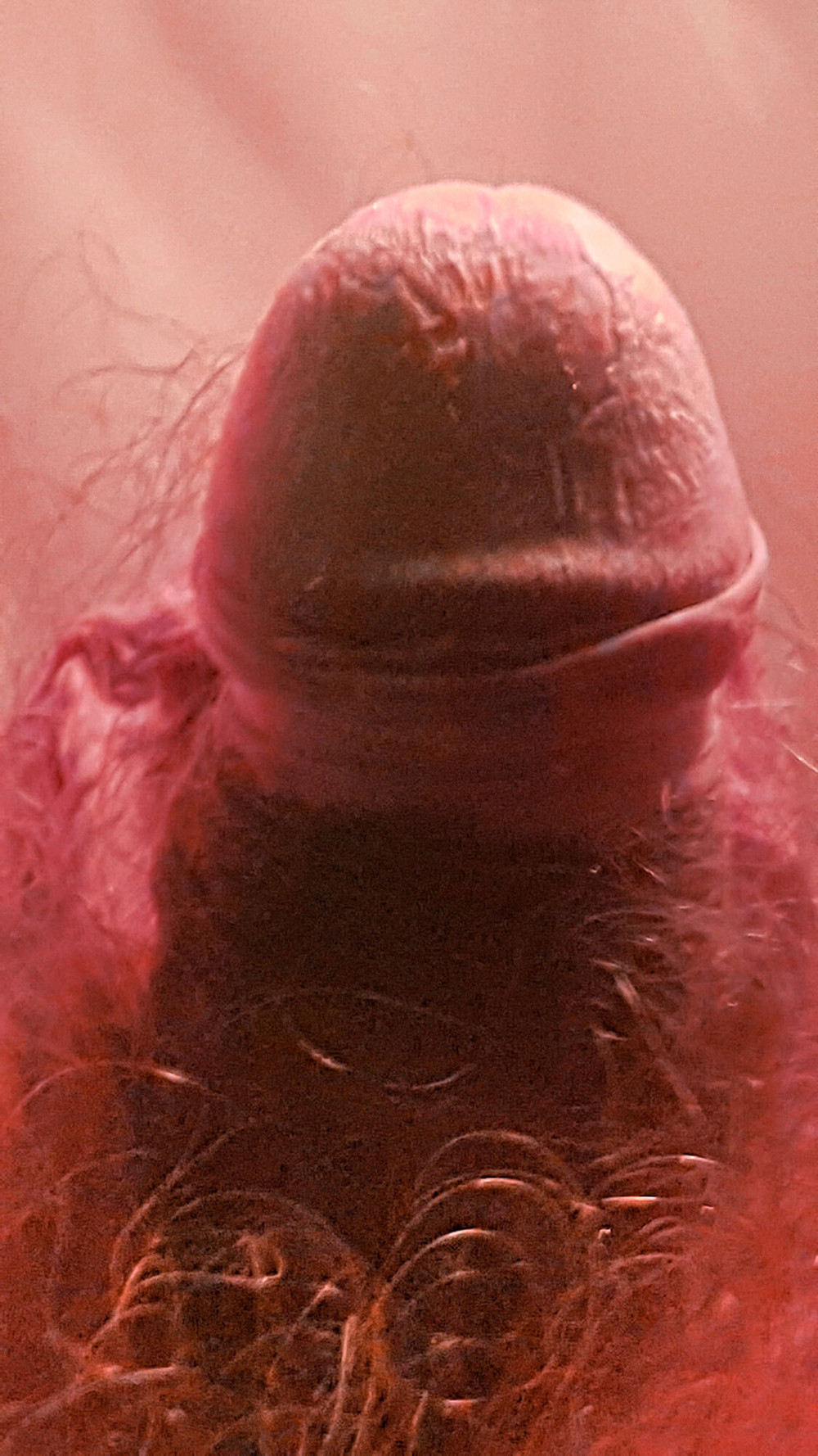 Underwater in the pool #10