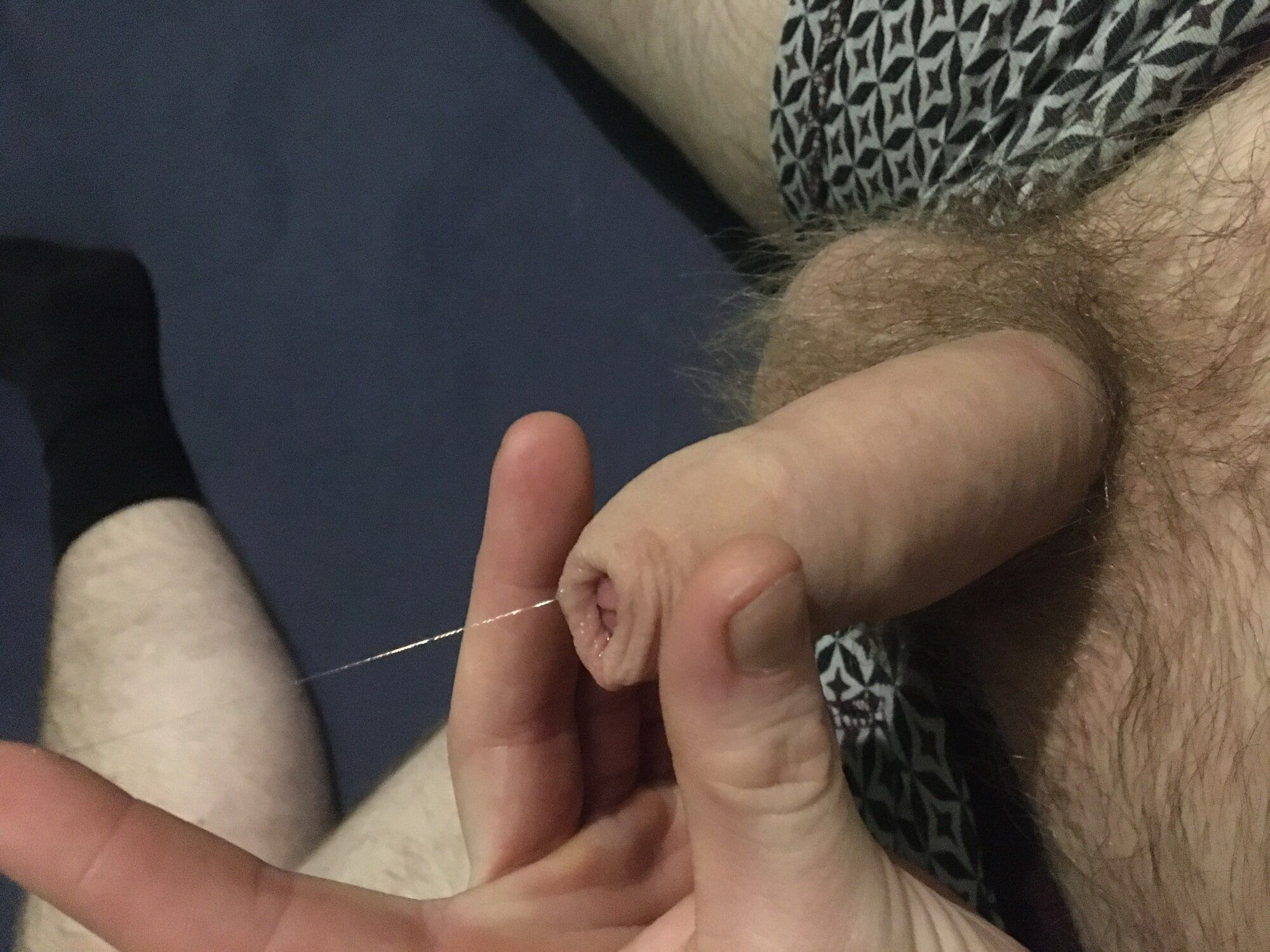 Hairy Dick And Balls Foreskin Pre-cum Play #59