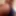 Free Bear Photos