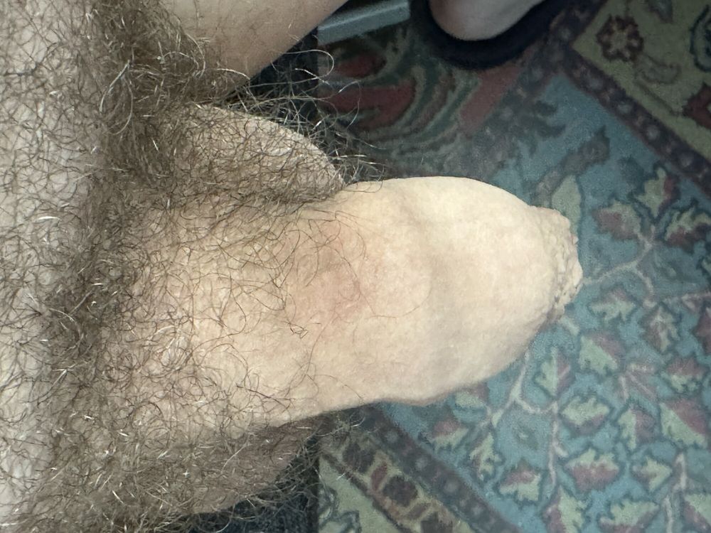 My horny cock