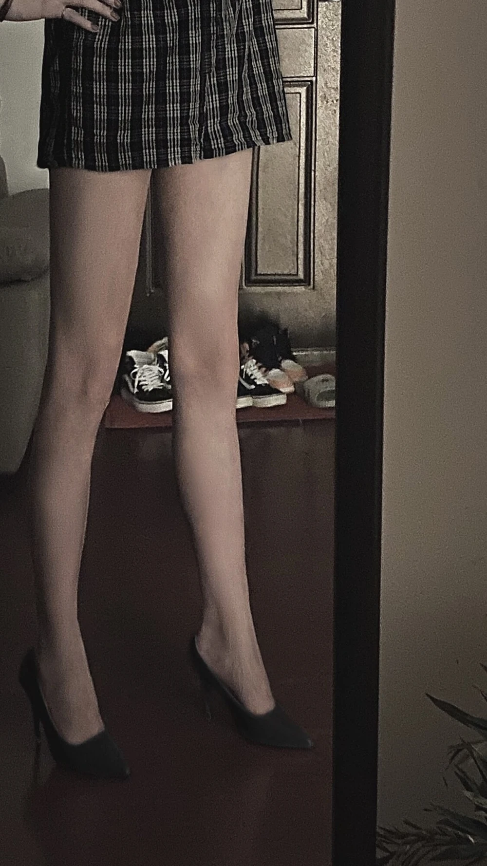 gorgeous transgender #2