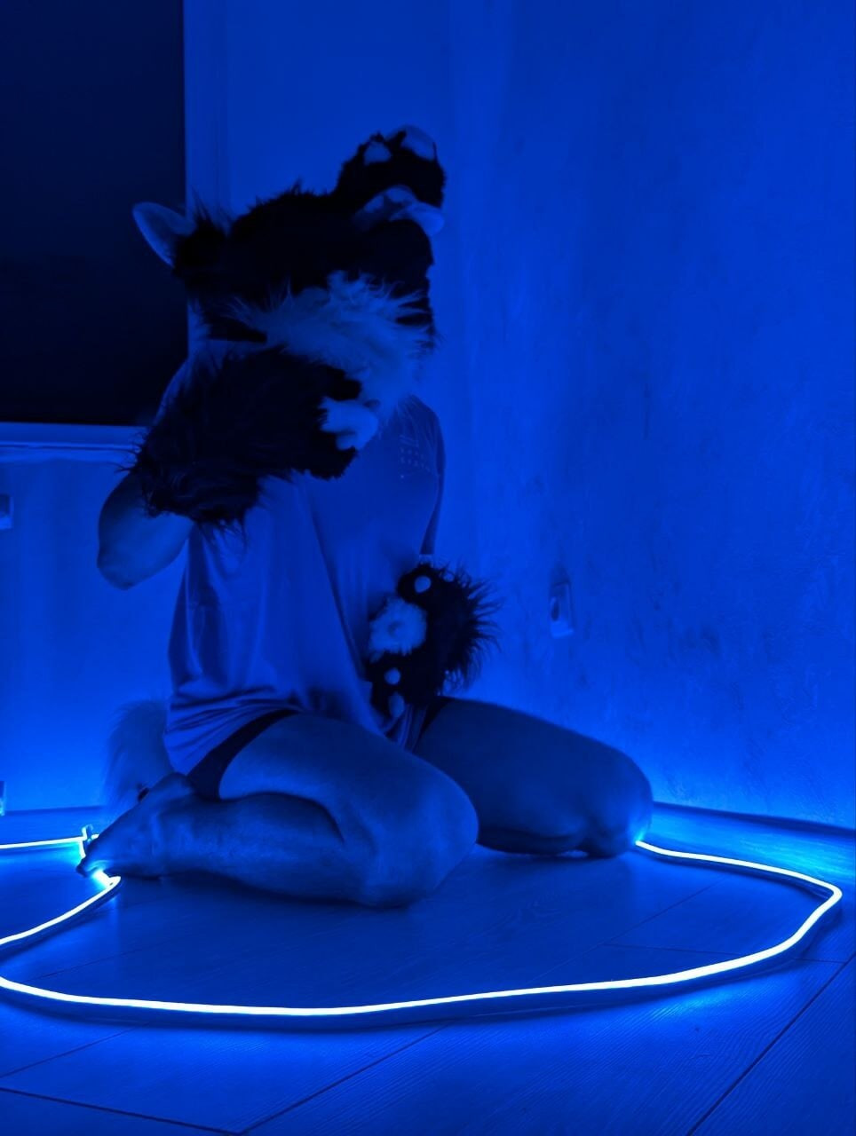 VacFurrDemon66 Fursuit