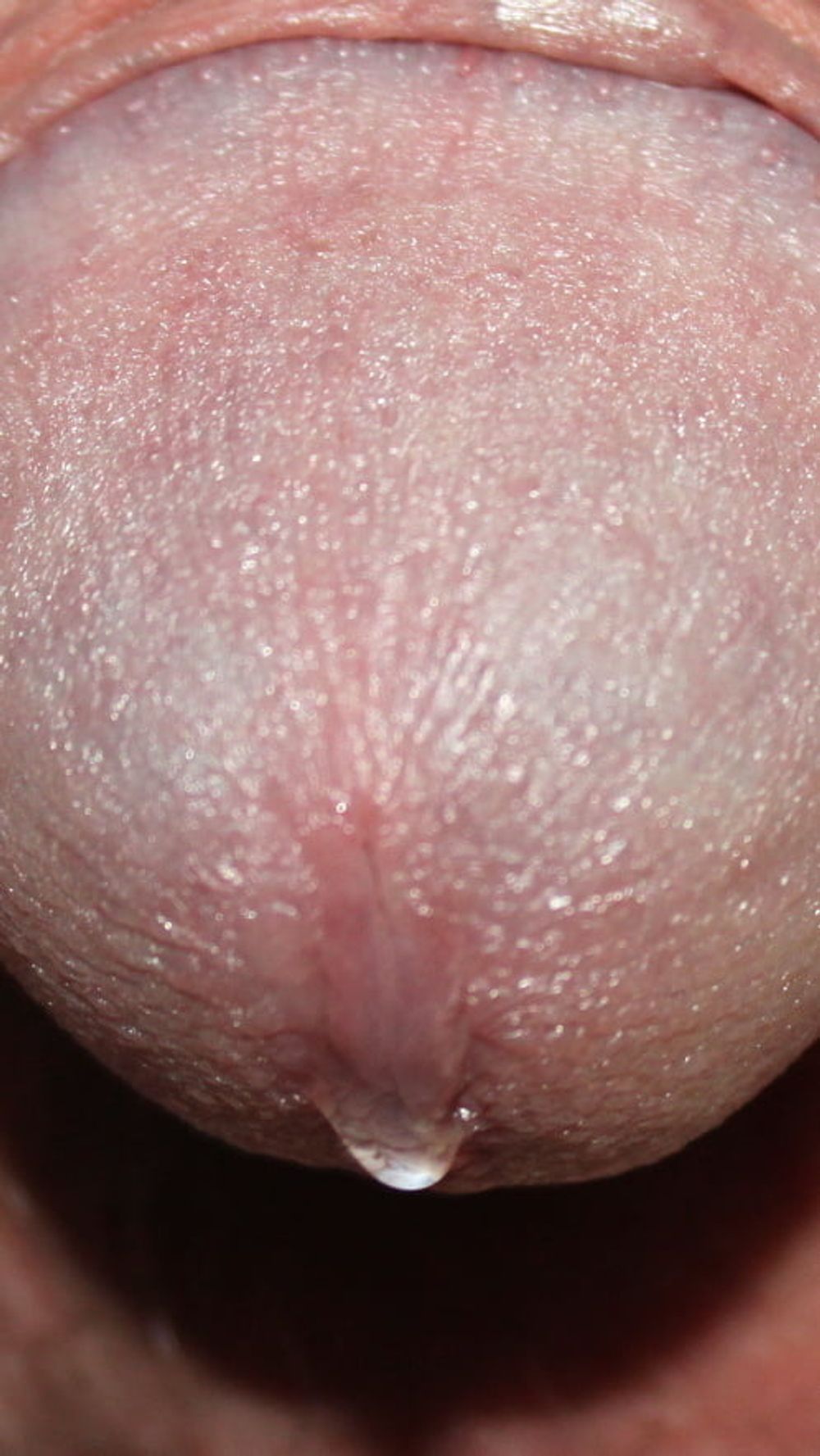 Precum and cum #6