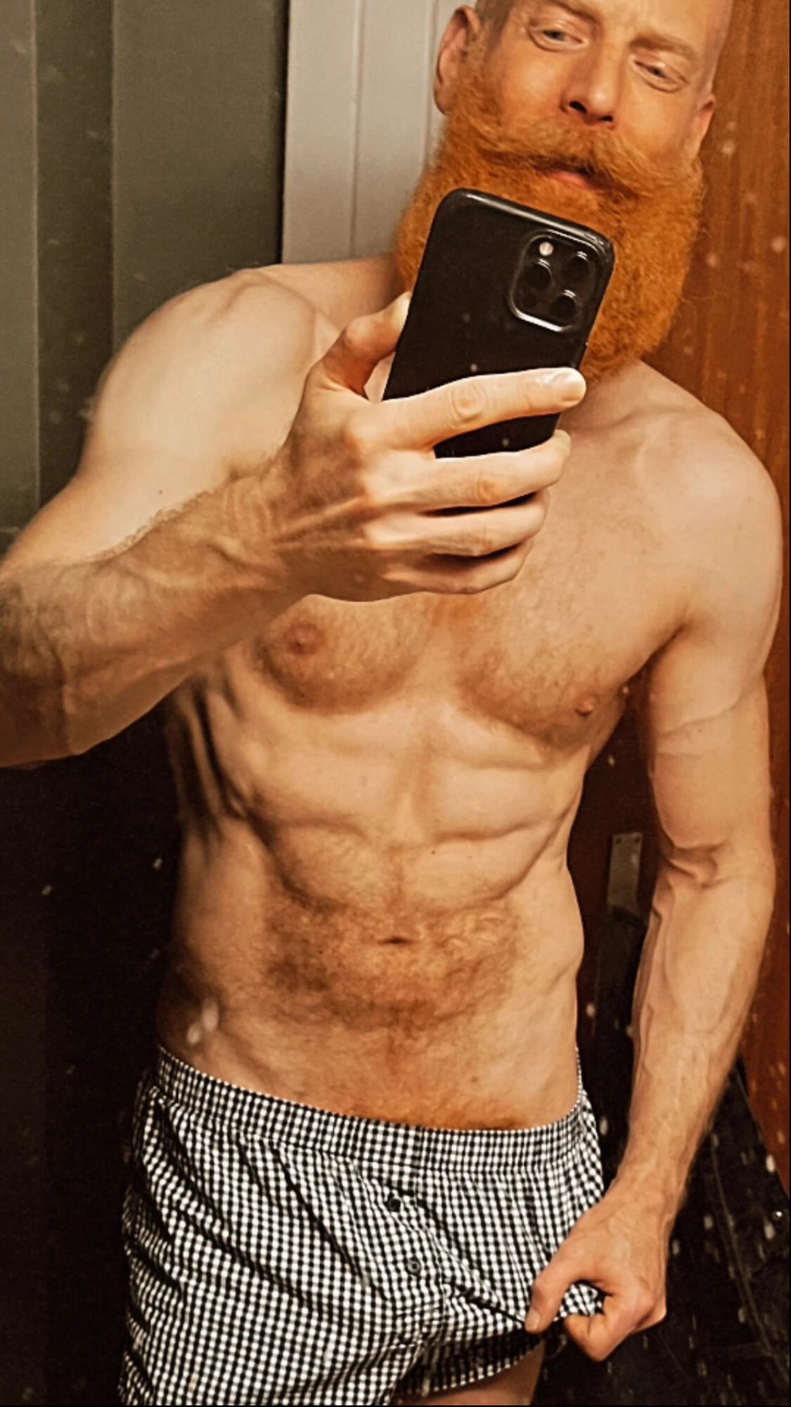 Ginger bush and body #2