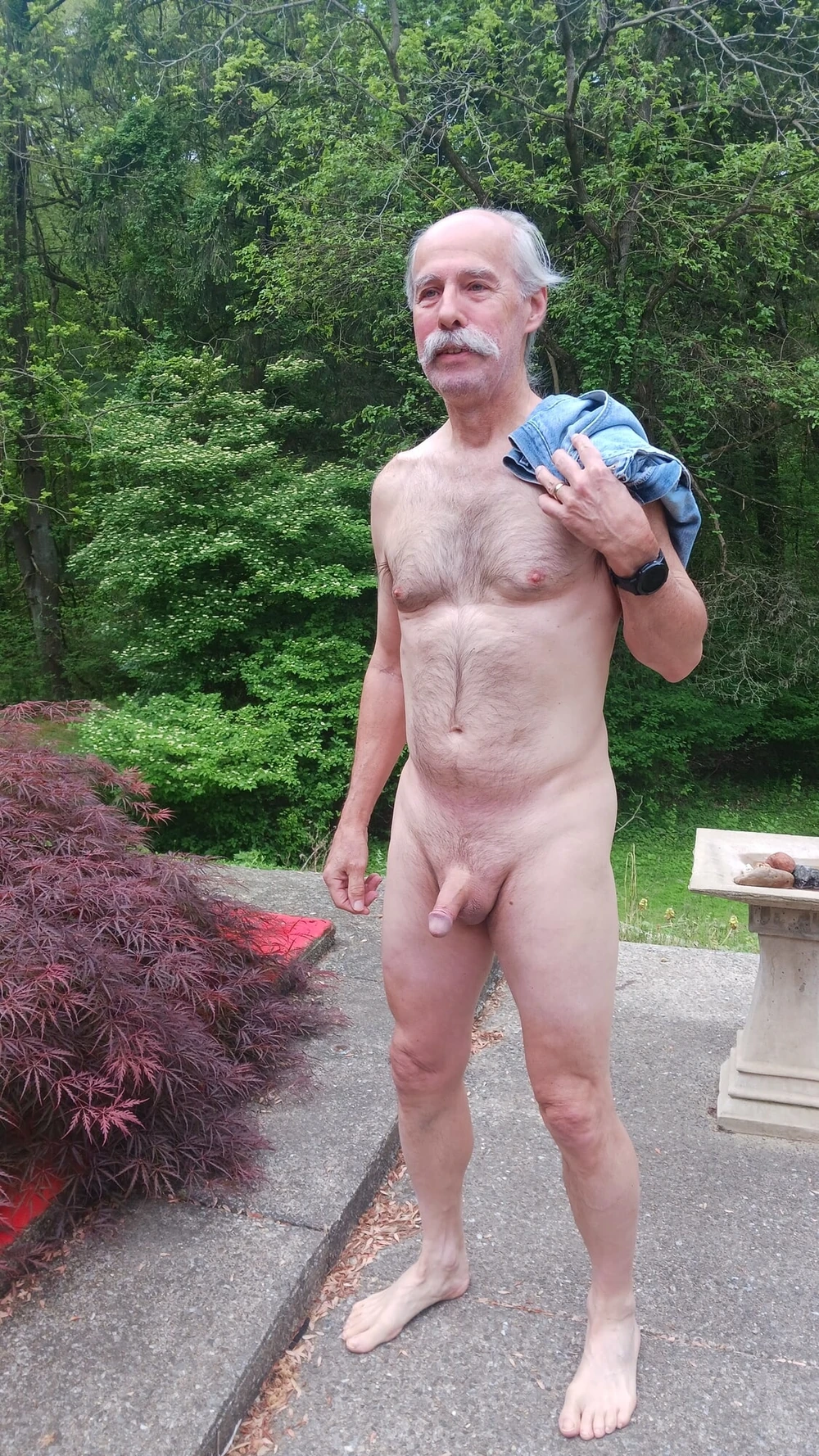 Spring in Tony's backyard #3
