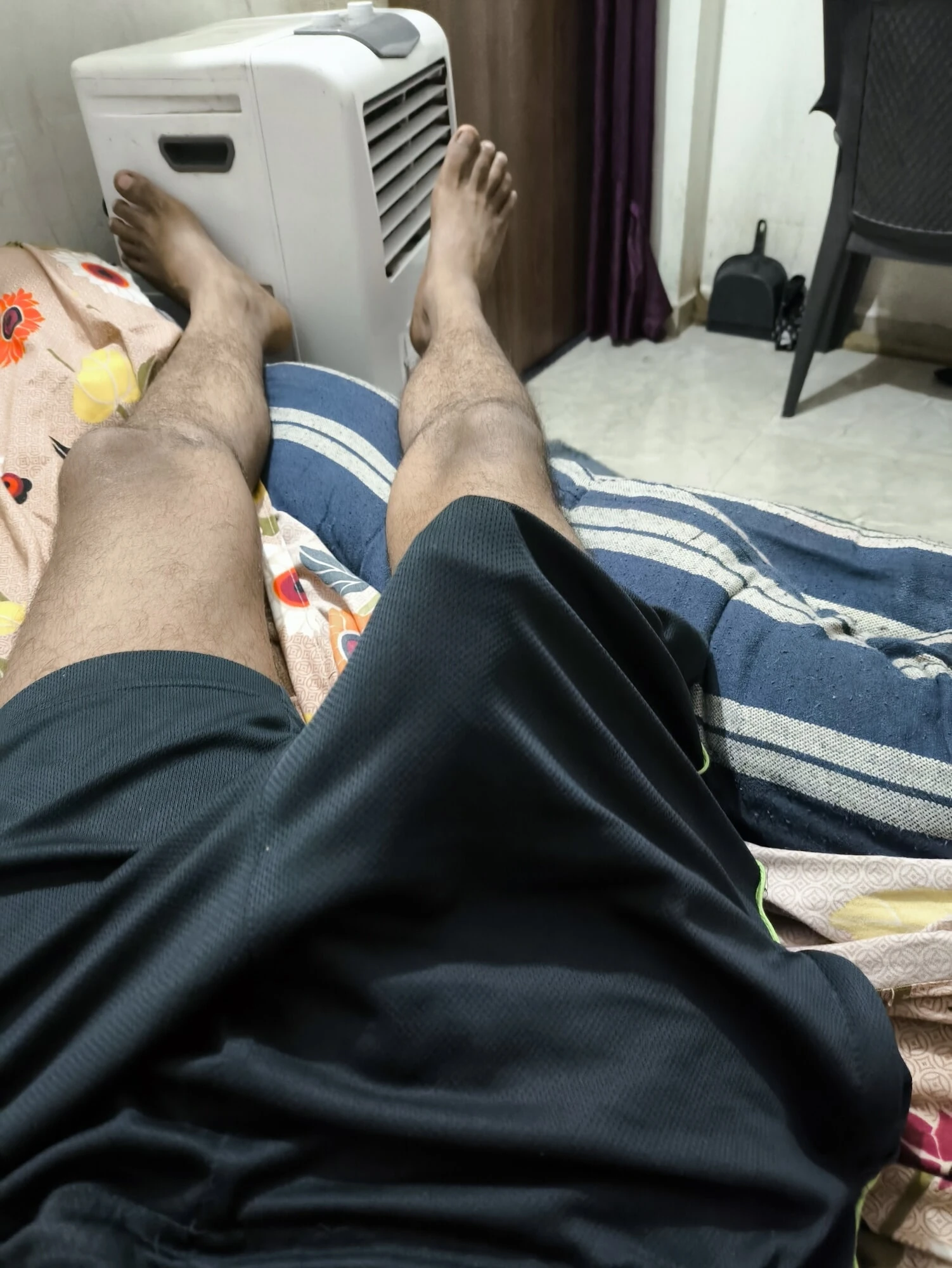 Indian paython 
