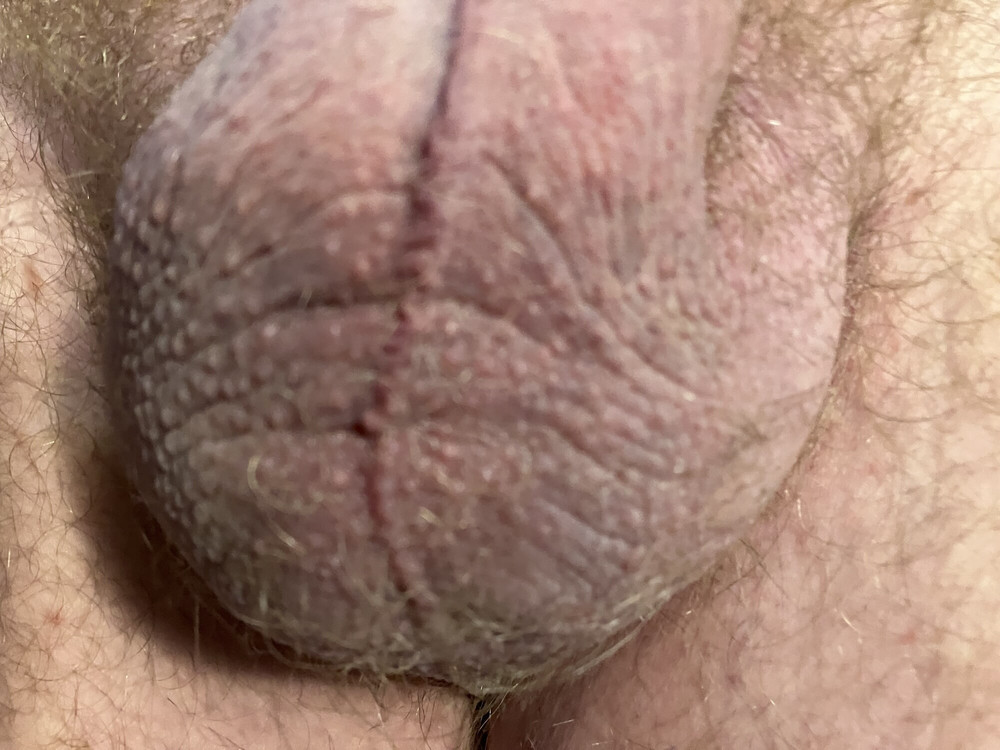 Veiny shaft and wrinkled up, swollen nuts #8