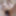 Miyu Usagi :: If My Girlfriend Is Miyu Usagi - CARIBBEANCOM #28