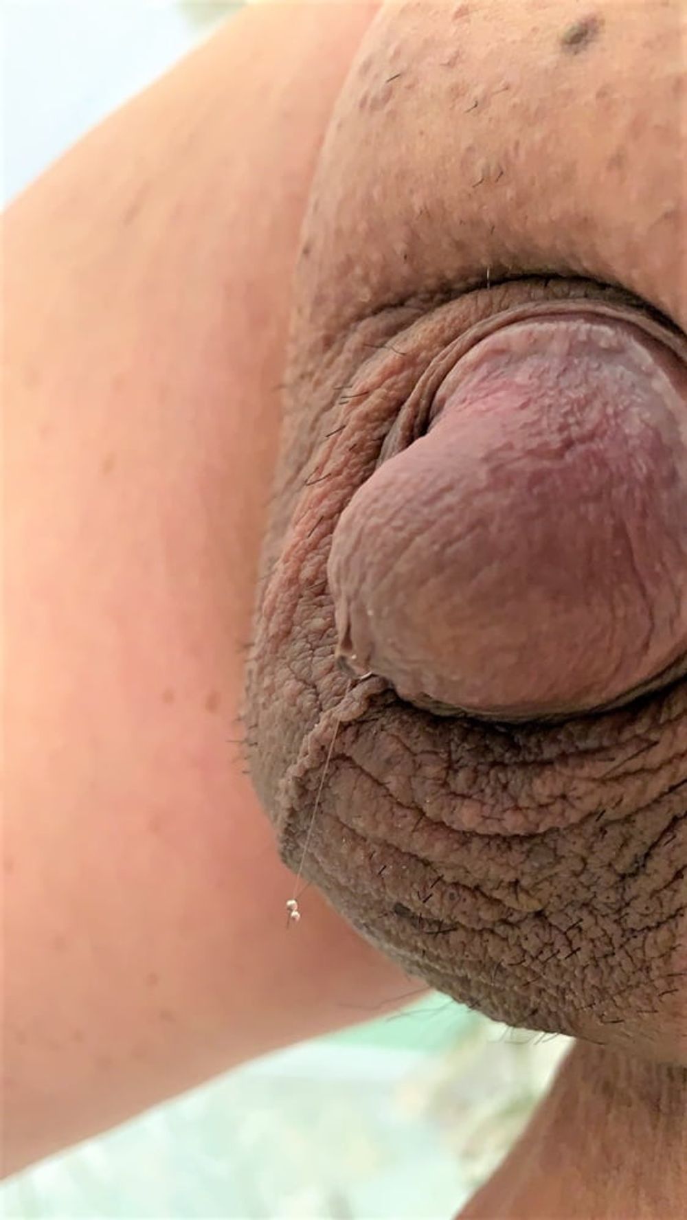 Little cock pics #6