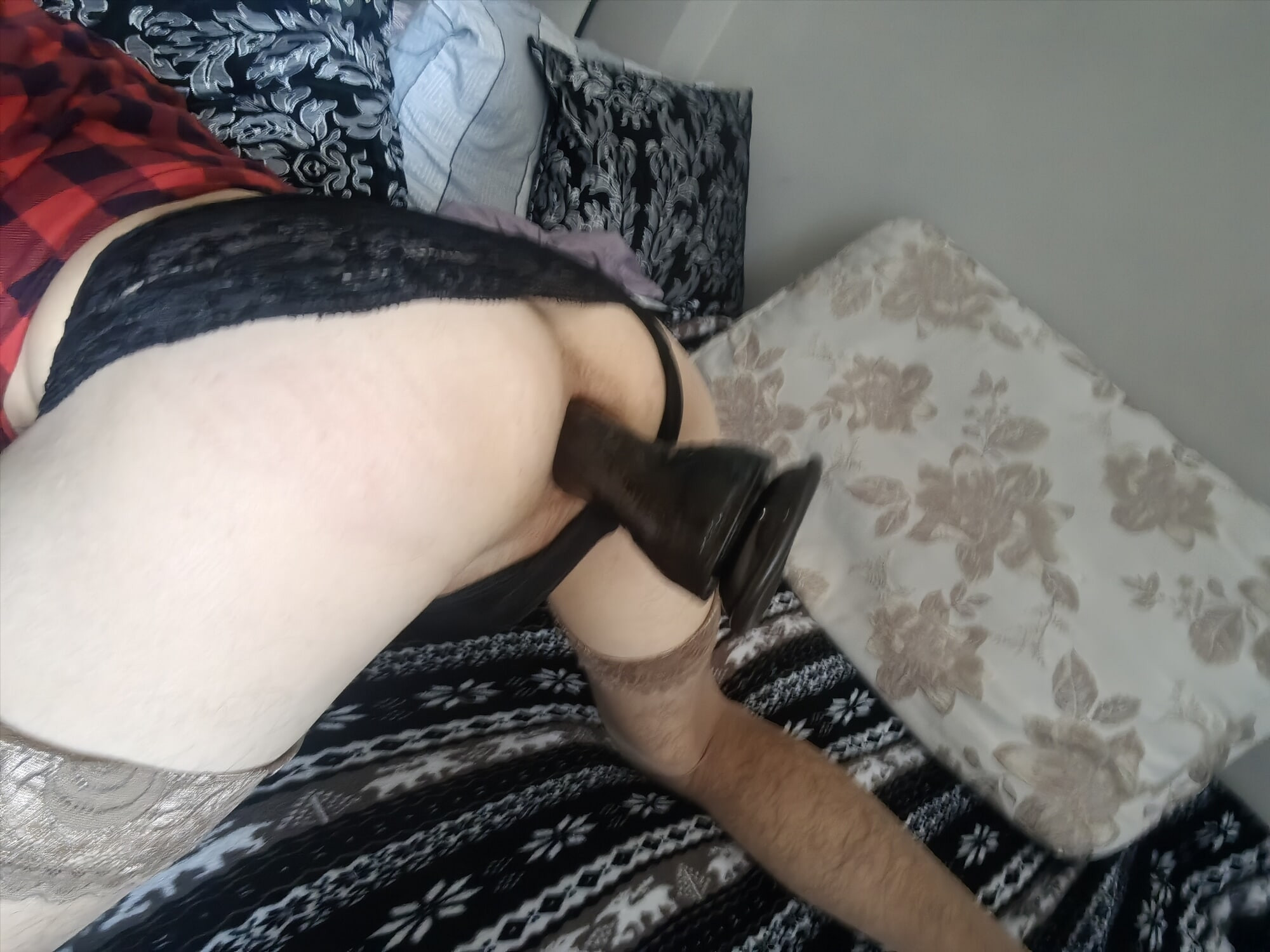 my ass2