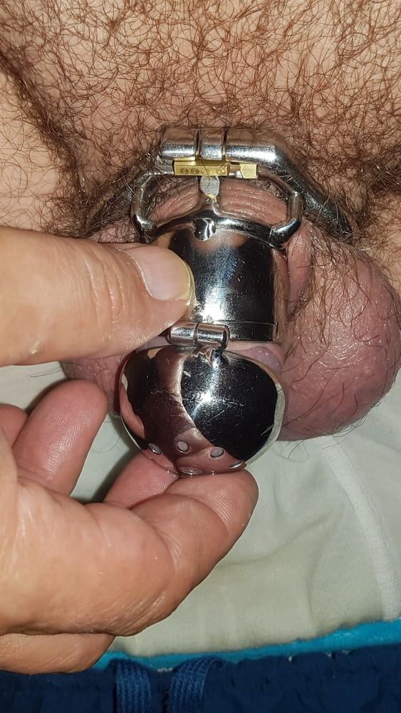 Chastity cage #56