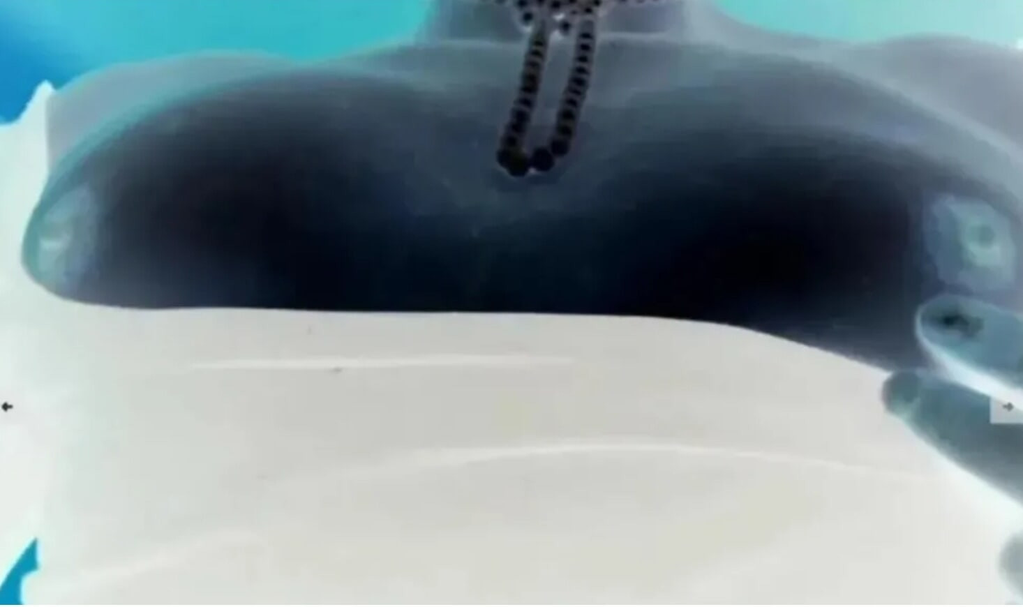 Me and my titts 