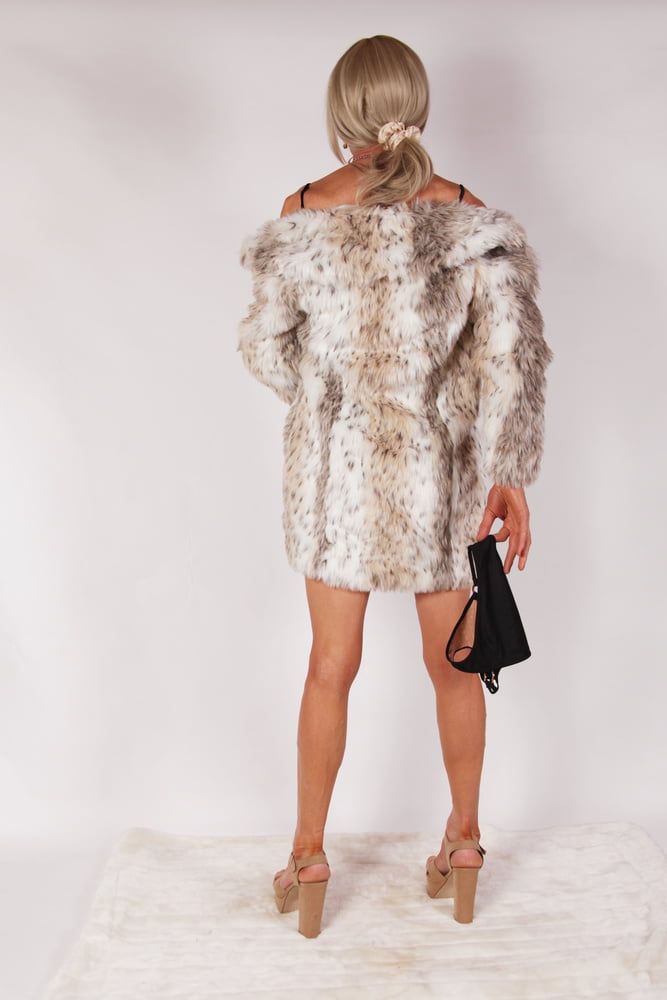 9 Alessia Models Velvet Blue Dress & Fur Coat #8