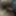 ディックの写真