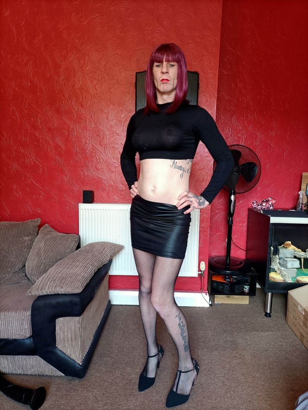 Sissyboy David Anderson