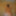 Kinky beauty masturbates in the shower for me #22