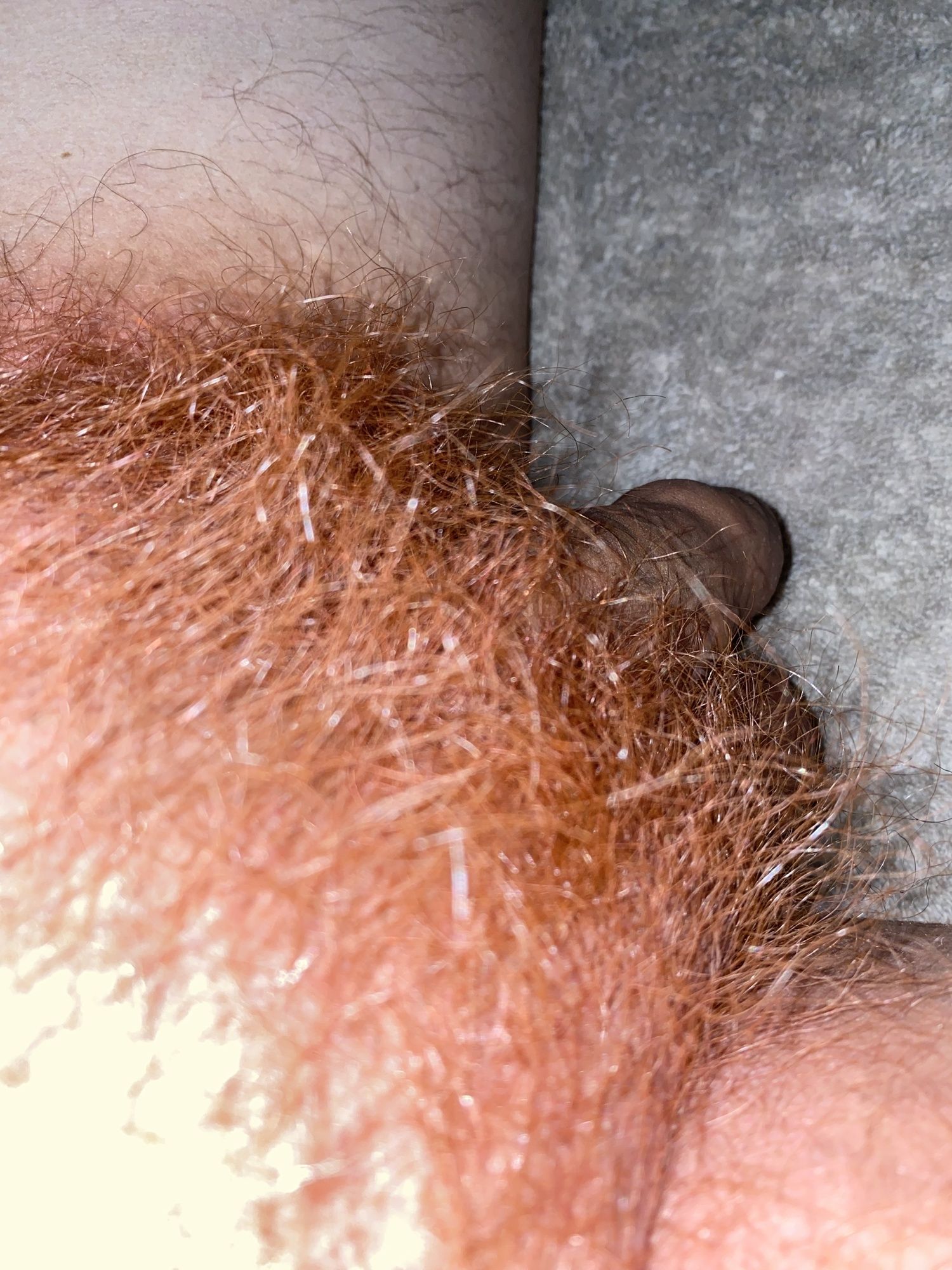 Hairy ginger cock #14