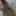 Lizzy Yum orgasm database 2023 #3
