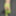 Green Mesh Lingerie #23