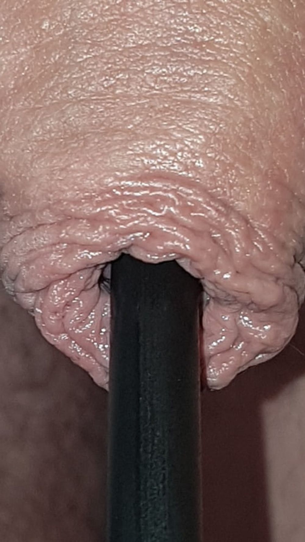 Urethral Insertion #23