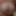 close up penis