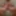 A Fat Girthy Cock Waiting To Be Sucked