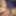 Indian horny big hard dick