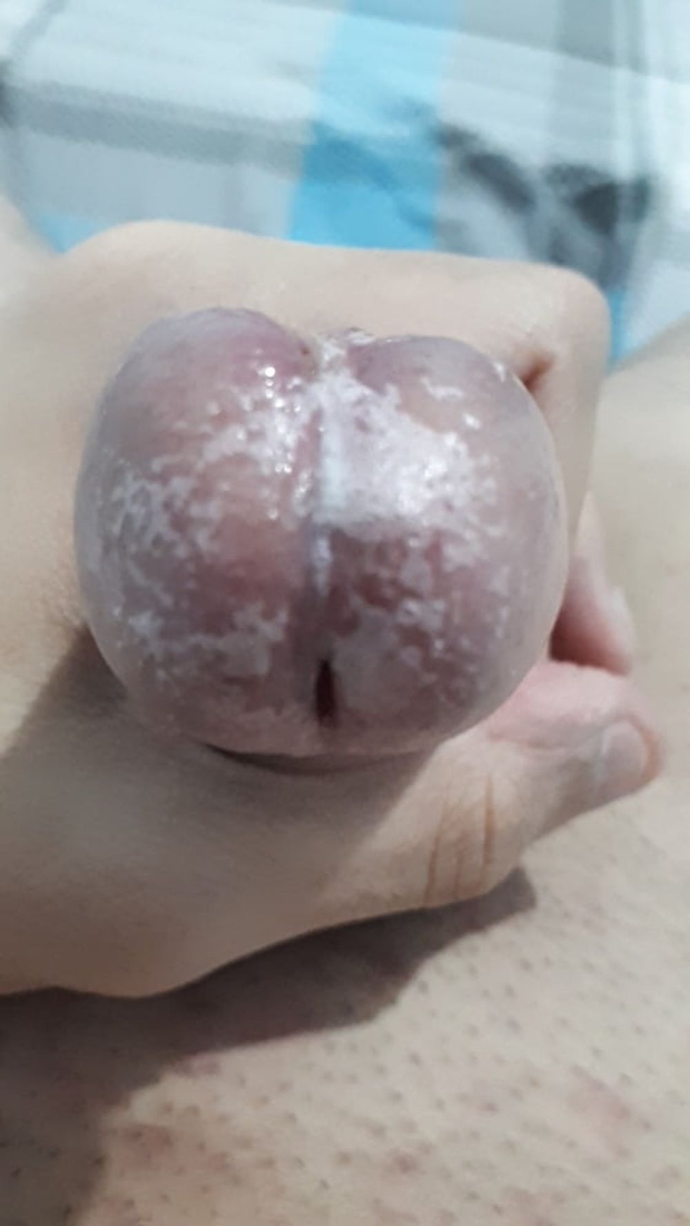 Wet Glans Penis #11