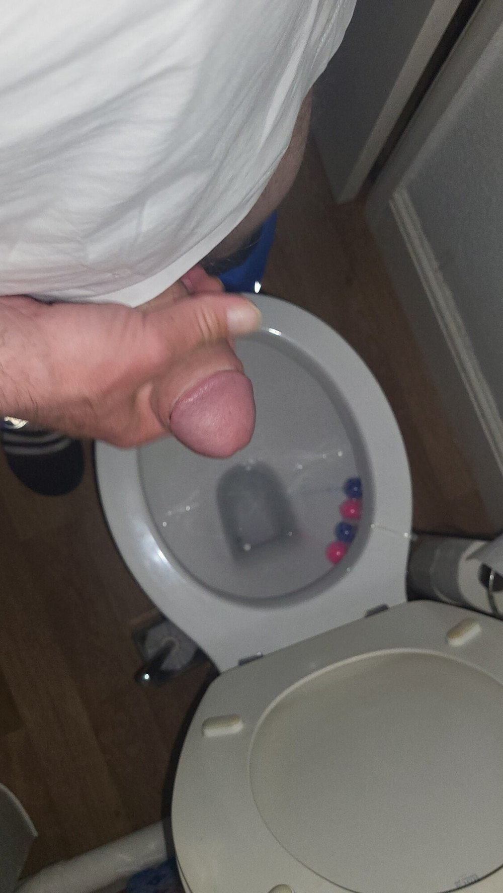 Cock #15