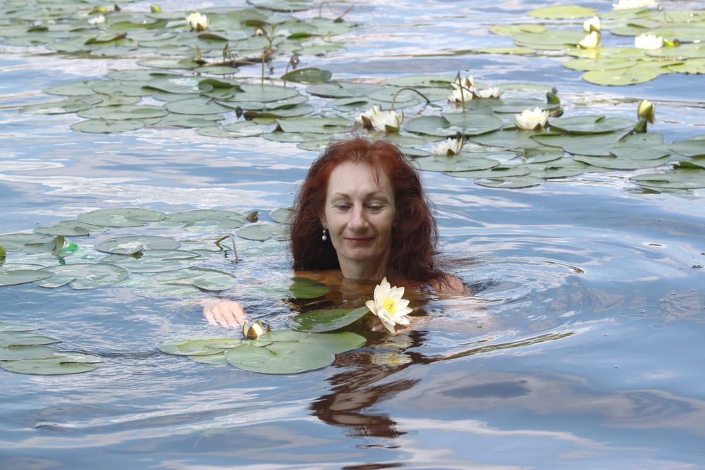with water lily #55
