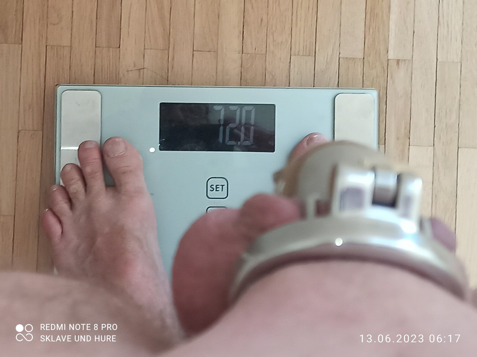 weighing , cagecheck, 13.06.2023 #16
